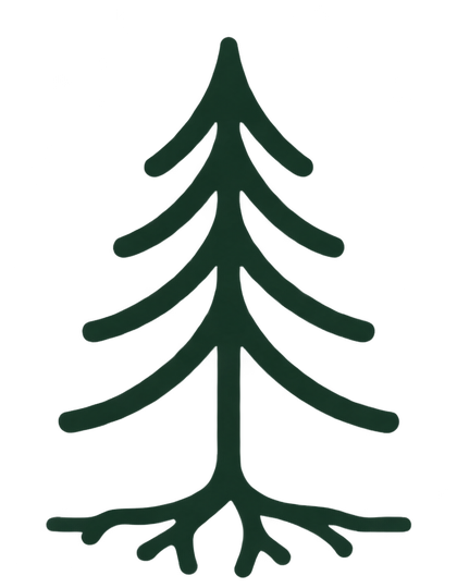 Evergreen tree with roots